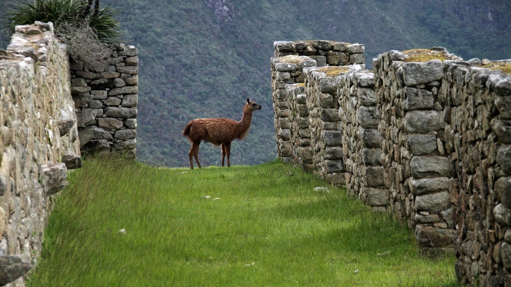 How much time do you need for machu picchu?